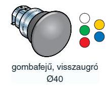 ZB4-BW433